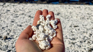 Spagna: Playa de las Palomitas è una spiaggia ricoperta da… popcorn!
