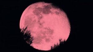 La superluna rosa: tutte le notti in cui vederla nel 2021