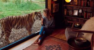 Tiger Lodge nel Kent: l’unico hotel in cui si può dormire con le tigri