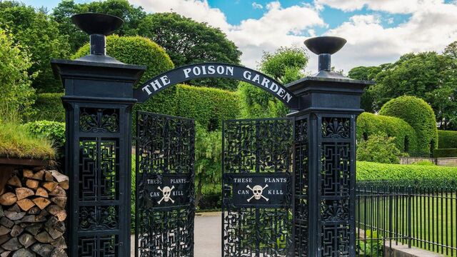 Lo sapevi che nel Regno Unito esiste il giardino più letale del mondo?